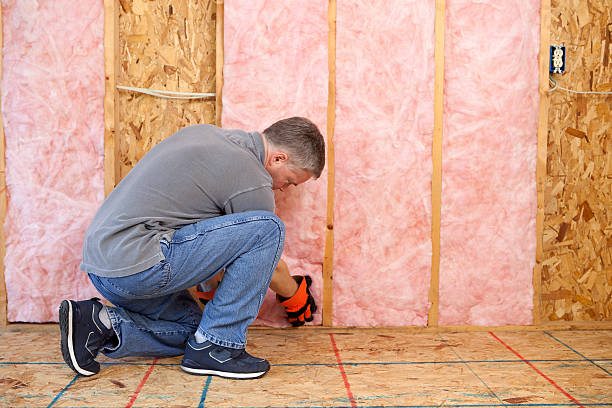 Best Insulation Installation Services in Burke, VA